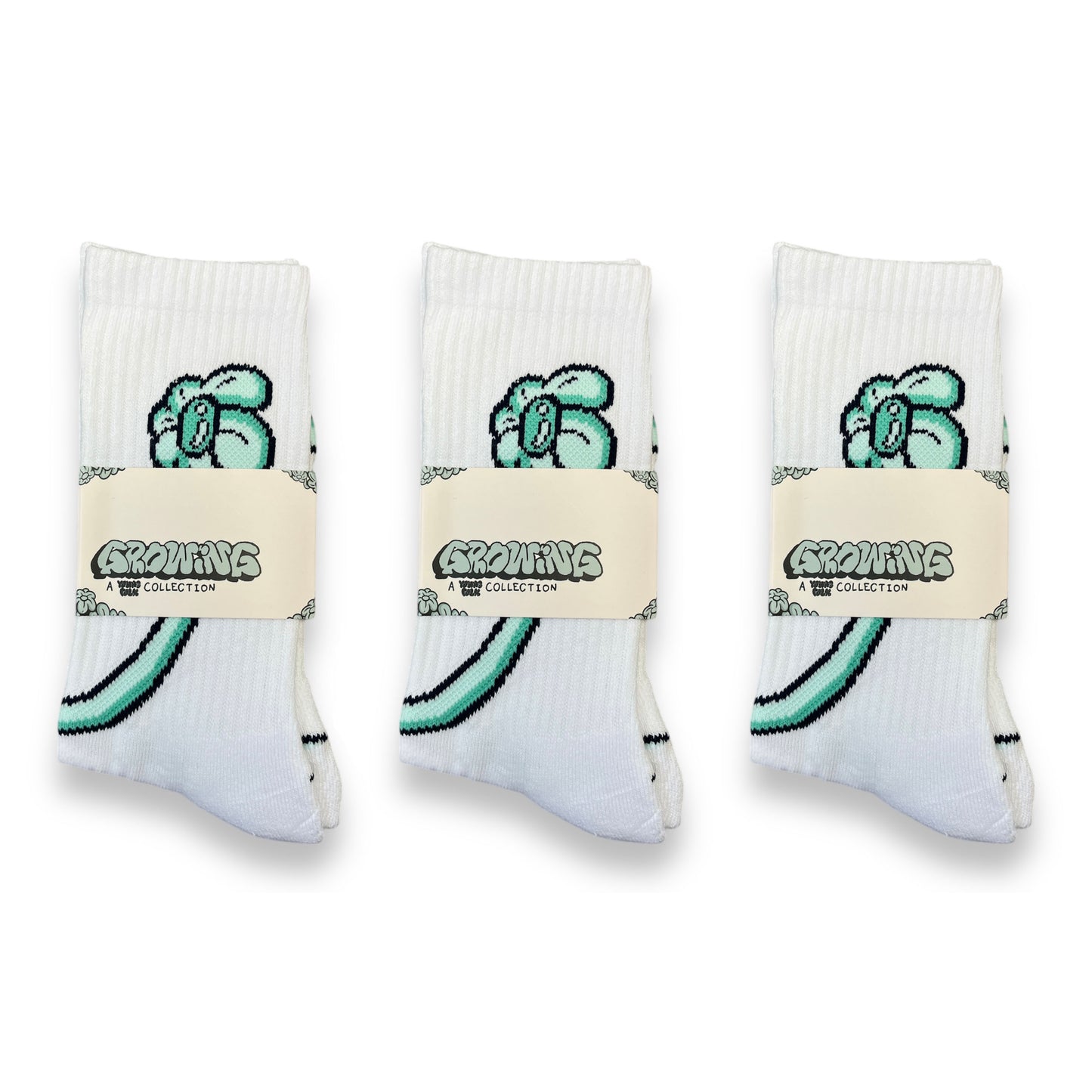 GROWING SOCKS