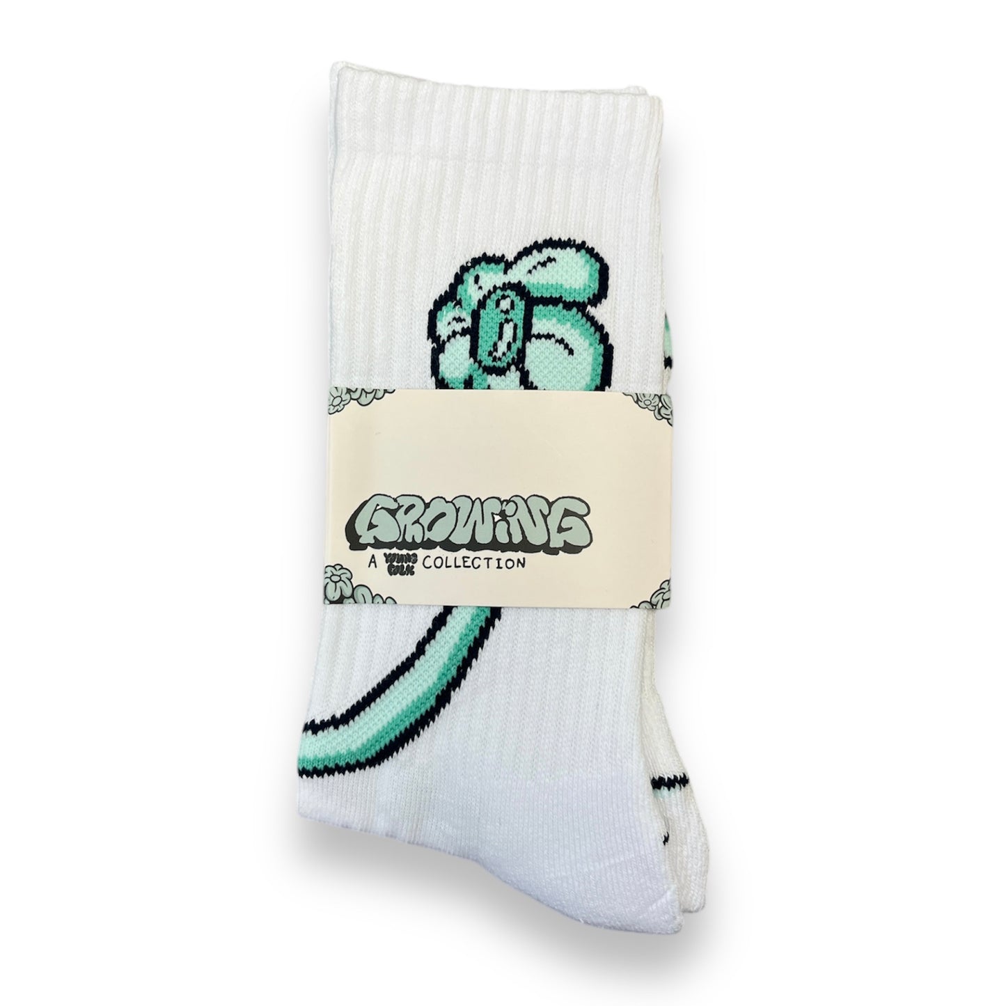 GROWING SOCKS