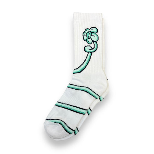 GROWING SOCKS